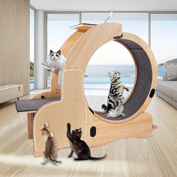 Cat Exercise Wheel,Cat Wheel Exerciser for Indoor Cats, Cat Treadmill Wheel with Carpeted Runway, Kitty Cat Sport Toy, Great for Physical Activity and Reducing Boredom（Upgraded ）