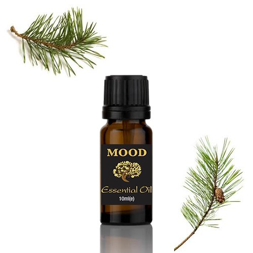 Essential Oils 10ml Pure & Natural Aromatherapy - Choose Fragrance (Pine Needles)