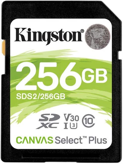 Kingston 256 GB SDXC Class 10 Flash Memory Card SDS2 Memory