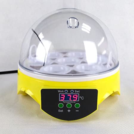 Egg Incubator, 7 Eggs Manually Turning Digital Incubator Poultry Hatcher with Clear Lid, Temperature Control Digital Incubators Breeder for Hatching Chicken Duck Goose