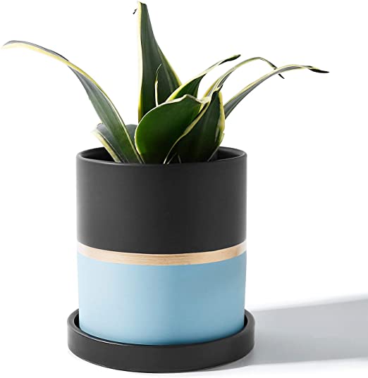 POTEY 052106 Cylinder Plant Pot with Drainage Hole & Saucer - 4.9 Inch Gazed Ceramic Planters with Black Golden Blue Detailing for Indoor Plants Flower Succulent(Plant NOT Included)