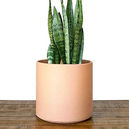 Indoor Flower Pot | Large Modern Planter, Plant Holder & Terracotta Plant Pot - Plant Container Great for Plant Stands (10.5 inch, Blush)