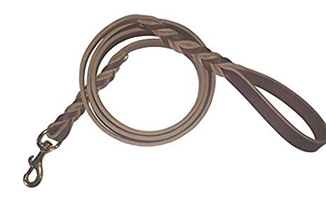 Punk Hollow Leather Leash Dbl Braided 6 ft. X 3/4 in. Brown and Brass Lifetime Guarantee Amish Made