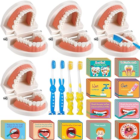 4 Set Dentist Kit for Kids Dentist Play Set Dental Teeth Model with Toothbrush Child Dental Educational Card Standard Size Fake Brace Demonstration Teaching for Children Student