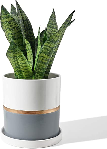 POTEY 057301 Planter Pots Indoor - 7.4 Inch Cylinder Ceramic Flowerpot with Drainage Hole & Saucer for Indoor Plants Flower Succulent Modern Home Decor(Plant NOT Included)