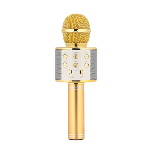 Cewaal WS-858 Wireless Microphone Karaoke with Speaker Pro, Portable Bluetooth KTV Karaoke for iPhone iPad Android Smartphone PC, Kids Gift (Gold)