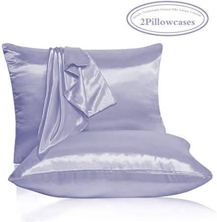 Leccod 2 Pack Shinny Silk Pillowcase with Hidden Zipper, Super Soft and Luxury Satin Pillow Cases Covers for Hair and Skin (Upgrade Zipper Light Blue, Queen: 20x30)