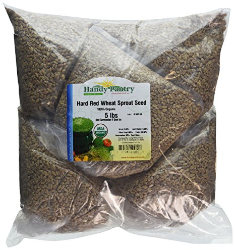 Certified Organic Hard Red Wheat Sprouting Seed: 5 Pre-Measured Bags for 10"x20" Trays (Approx 5 Lb) For Growing Wheatgrass to Juice, Grind for Flour & Bread, Ornamental Wheat Grass – Non-GMO