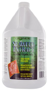 Grow More 6041 Seaweed Extract 11%, 1-Gallon