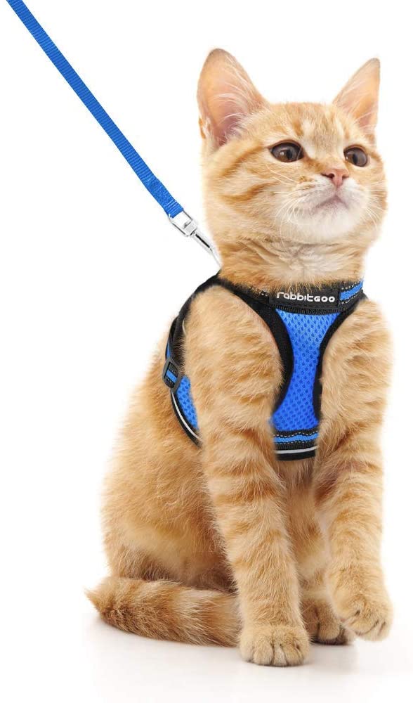 rabbitgoo Cat Harness and Leash Set for Walking Escape Proof, Adjustable Soft Kittens Vest with Reflective Strip for Extra Small Cats, Step-in Comfortable Outdoor Vest Harness, Blue, Medium