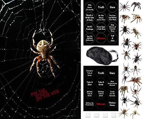 Fun Halloween Party Game - Pin The Spider On The Web - 2 Halloween Games In 1 - A Family Friendly Version or a Drinking Game Version