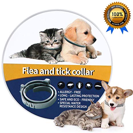 X99 Flea and Tick Collar - 8 Month Protection Adjustable Waterproof Collar for Dog Puppy Kitten Cats, Natural & Safe Efficiently Repell Locust Lice of Pets (For Dog and Cat) (Generic)