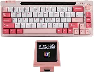 EPOMAKER RT65 Wireless Gaming Keyboard, Tri-Mode 65% Mechanical Keyboard, Hot-swap Creamy Custom Keyboard, with Mini Display and Joystick, RGB Backlit, NKRO (Pink, Flamingo Switch)