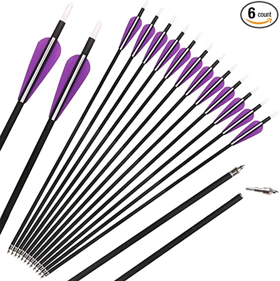 IRQ 32 Inch Carbon Hunting Arrows Archery Target Practice Arrows for Recurve and Compound Bow Spine 350 with Replaceable Tips Points Adjustable Nocks 6 Pack (2 Purple 1 White)