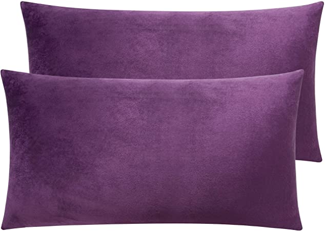 NTBAY Zippered Velvet King Pillowcases, 2 Pack Super Soft and Cozy Luxury Solid Color Pillow Cases, 20 x 36 Inches, Purple