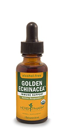Herb Pharm Alcohol-Free Golden Echinacea Glycerite for Immune System Support - 1 Ounce
