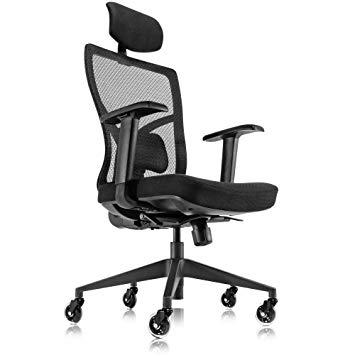 Ergonomic Mesh Office Chair with Roller Blade Wheels - Ridiculously Comfortable High Back Computer Desk Chair and Fully Adjustable (Black)