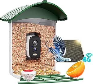 4G LTE Bird Feeder with Camera, 1 Year Trial AI Identify HD Bird Watching Camera, 4 DIY Add-ons, Bird House with Solar Panel for Outdoor, 7800mAh Battery, Suitable for Bird Lover