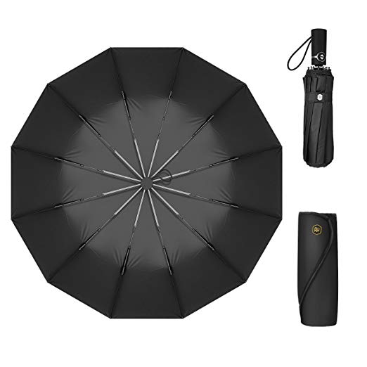 12 Ribs Travel Umbrella Windproof-Compact Umbrella with Auto Open/Close- Simplified Design Umbrella for Men&Women Ruxy Humy (Black)