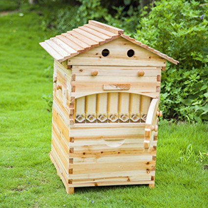 Automatic Flow Bee Hive, Wooden Honey Flow Beehive House with 7 pcs Flow Frames