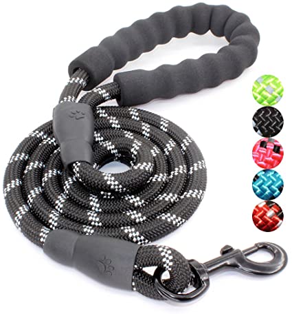 BAAPET 5 FT Strong Dog Leash with Comfortable Padded Handle and Highly Reflective Threads for Medium and Large Dogs
