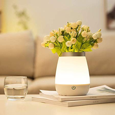 FRUITEAM Vase Night Light, Touch LED Night Light, for Bedrooms, Dining Tables, Work Tables, Cafes, etc. Rendering The Atmosphere