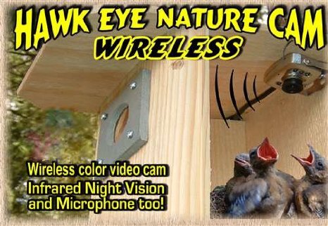 Birdhouse Spy Cam BCAMHEW Hawk-Eye Wireless Spy Camera