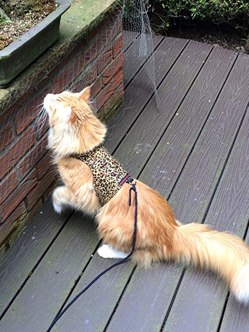 Mynwood Cat Jacket/Harness Cheetah Adult Cat