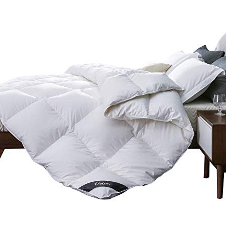 Globon White Goose Down Comforter King Size, Medium Warmth All Season, 35oz,700 Fill Power, 400 Thread Count Hypoallergenic 100% Cotton Shell, with Corner Tabs, Solid White