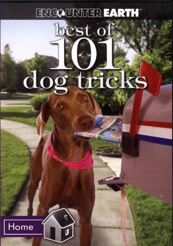 The Best of 101 Dog Tricks- DVD