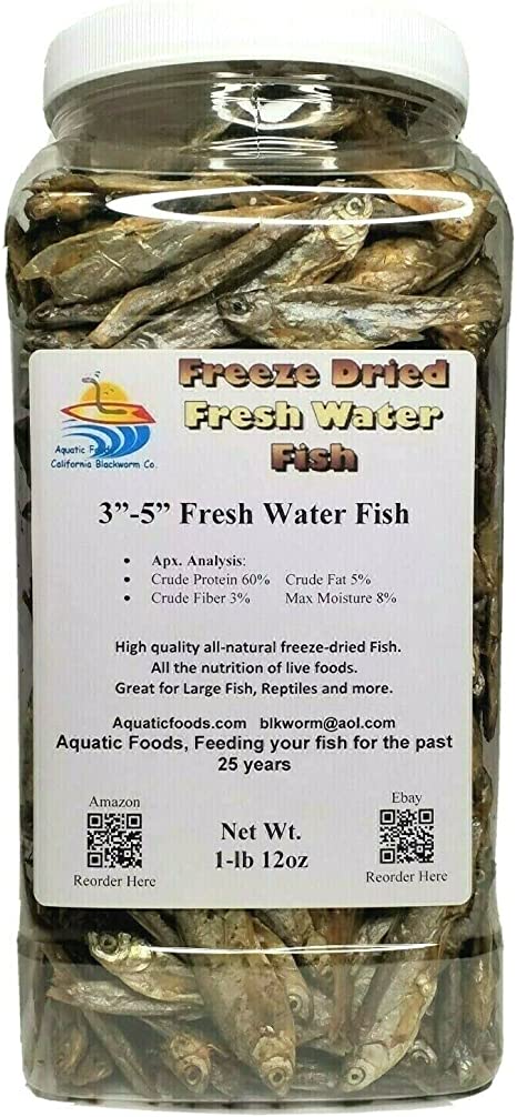 Aquatic Foods 1-lb 12oz of 3''-5'' Freeze Dried Fresh Water Fish - Perfect for Piranha, Large Tropicals, Pond, Turtles, Cats, Rodents -, Jar