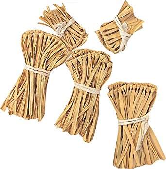 The Wizard of Oz - Scarecrow Straw Accessory Kit