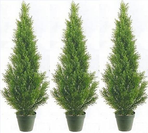 Three 3 Foot Artificial Cedar Topiary Trees Potted Indoor or Outdoor