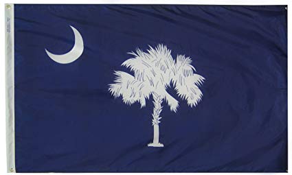 Annin Flagmakers Model 144860 South Carolina State Flag 3x5 ft. Nylon SolarGuard Nyl-Glo 100% Made in USA to Official State Design Specifications.