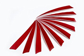 Longbowmaker 5" Red Shield Shape Natural Feathers Archery Arrow Fletch Fletching Left Wing (30PCS) SFR