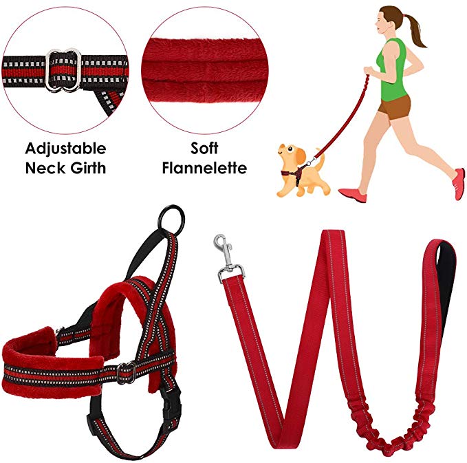 SlowTon No Pull Small Dog Harness and Leash, Heavy Duty Easy for Walk Vest Harness Soft Padded Reflective Adjustable Puppy Harness Anti-Twist 4FT Pet Lead Quick Fit for Small Dog Cat Animal