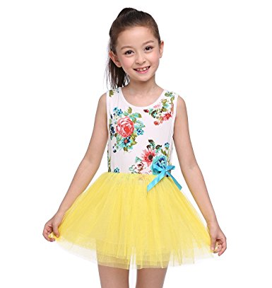 Little Girls Sleeveless Floral Princess Tulle Tutu Party Prom Casual Dresses