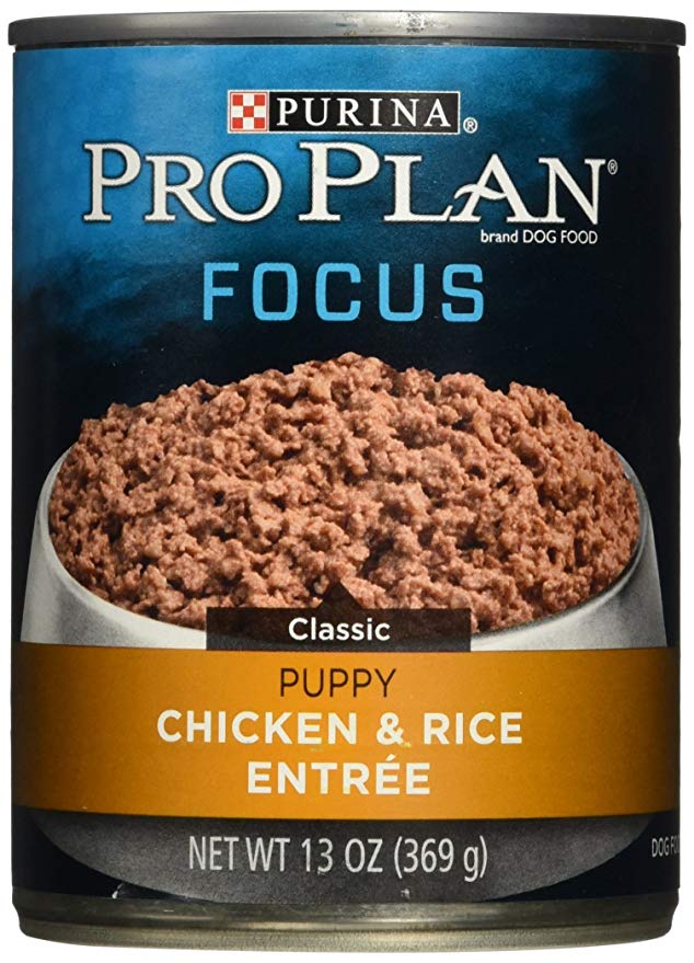 Purina Pro Plan Wet Dog Food, Focus, Puppy Chicken & Rice Entree Classic, 13-Ounce Can, Pack of 12