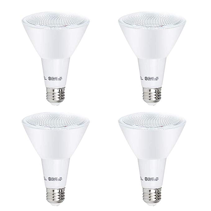 YGS-Tech 4 Pack PAR30 LED Long Neck Bulb, 12W Dimmable Flood Bulbs (75W Equivalent), 3000K Warm White, CRI80 , 850 Lumens, E26 Base, 25,000 HRS, Indoor/Outdoor - UL Listed