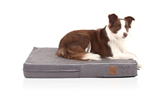LaiFug Orthopedic Memory Foam Pet/Dog Bed with Durable Water Proof Liner and Removable Designer Washable Cover