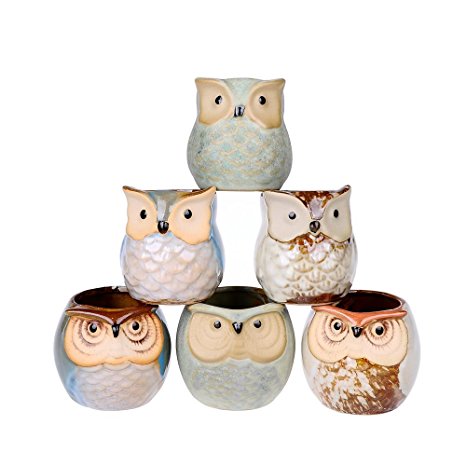 6 Pcs Mini Small Ceramic Owl Succulent Plant Pot Flower Planter Holder Cactus Planter Pot Flower Pot Container Planter