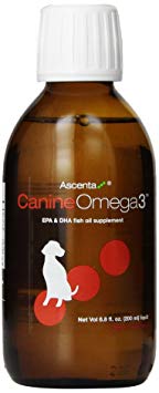 Ascenta Canine Omega3 Supplement, 200ml