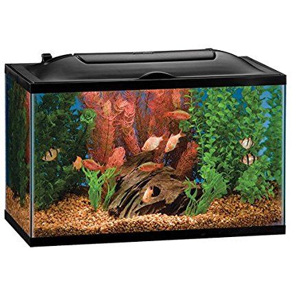 Marineland 16336 Bio, Wheel LED Aquarium Kit, 10 gallon