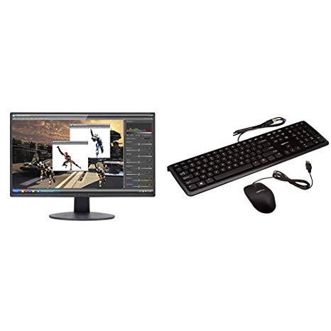 Sceptre E205W-1600 20" 75Hz Ultra Thin LED Monitor HDMI VGA Build-in Speakers, Metallic Black (2018 Version) & AmazonBasics USB Wired Computer Keyboard and Wired Mouse Bundle Pack