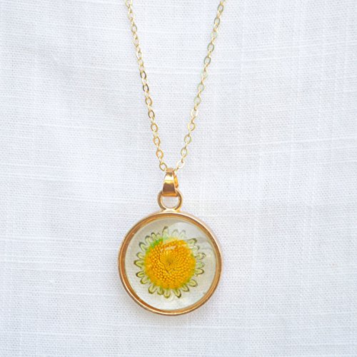 Sunflower Helianthus Real Flowers Transparent Glass Floating Locket 18K Gold Plated Long Necklace 26" Length Chain