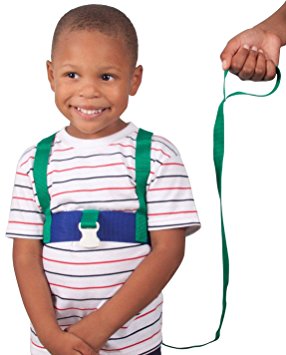 Leachco Ride 'N Stride 2-Way Safety Harness, Green and Blue