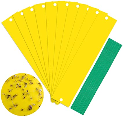 Yellow Sticky Traps,15Pcs 9.4x2 Inch Dual-Sided Fruit Fly and Gnat Sticky Bug Traps With Twist Ties and Holders for Indoor/Outdoor-Insect Catcher for White Flies,Mosquitos,Fungus Gnats,Flying Insects (15)
