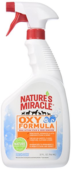Nature's Miracle Oxy Forumula Satin & Odor Remover, 32 oz
