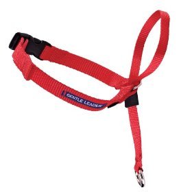 Gentle Leader Quick Release Headcollar: Large, Red