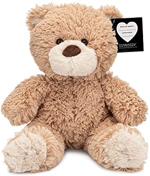 Inventiv Teddy Bear with Pouch, Easily Insert a Recordable Sound Module (Sold Separately), Plush Toy Stuffed Animal (Teddy Bear w/ Pouch)